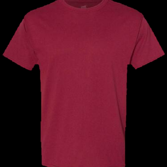 10 brand new unisex hanes shirts - Picture 1 of 1